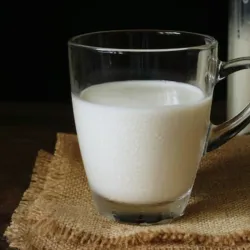 Leche Fluida