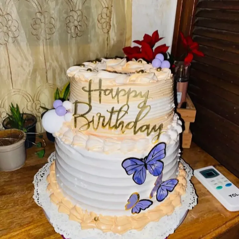 🎂 CAKES DE DOS PISOS: 25 CM ABAJO Y 20 CM ARRIBA