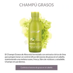 Cabellos Grasos