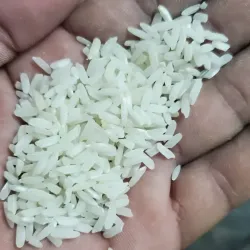 Arroz Criollo x lb