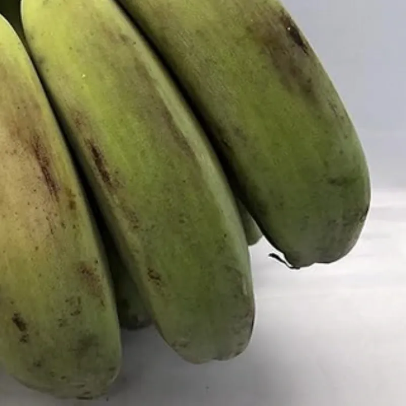 Fongo Verde (1 lb)