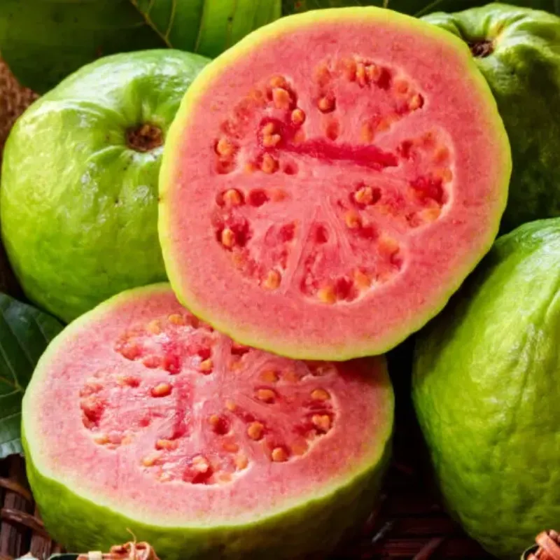 Guayaba (1 lb)