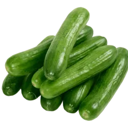 Pepino (1 lb)