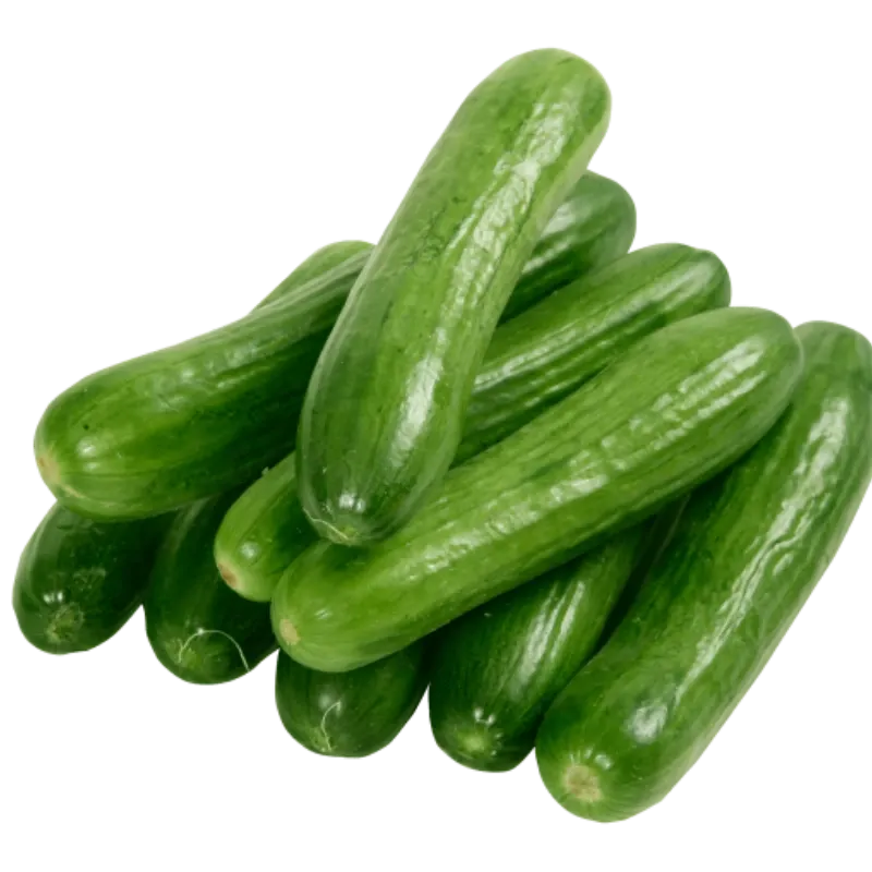 Pepino (1 lb)