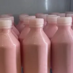 Yogurt Natural