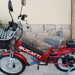 Bicicleta eléctrica 