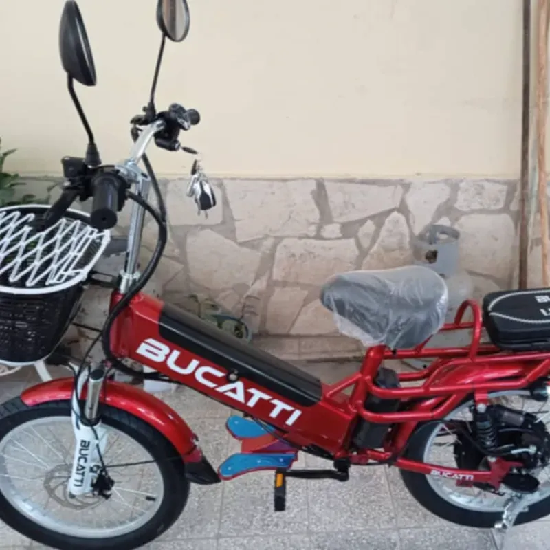 Bicicleta eléctrica 