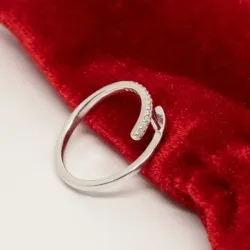 Anillo