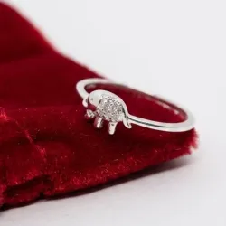 Anillo