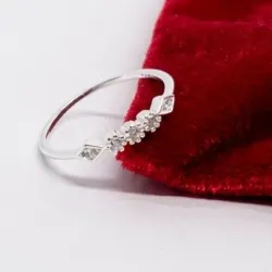Anillo