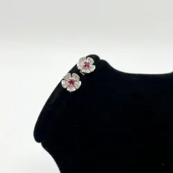 Aretes Pequeños