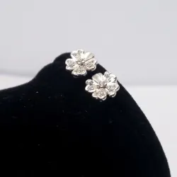Aretes Pequeños