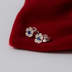 Aretes Pequeños