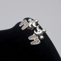 Aretes Pequeños