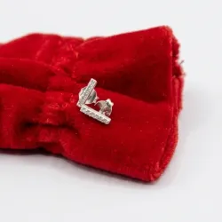 Aretes Pequeños