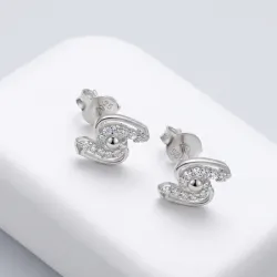 Aretes Pequeños