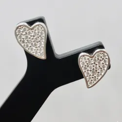 Aretes Pequeños