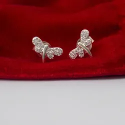 Aretes Pequeños