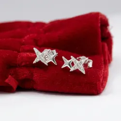 Aretes Pequeños