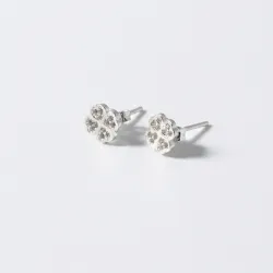 Aretes Pequeños