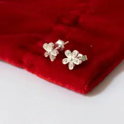 Aretes Pequeños