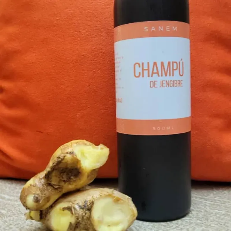 Shampoo de jengibre