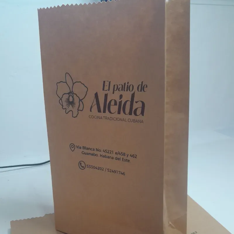 05-01 Bolsa con Logotipo