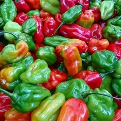 Ají.🌶