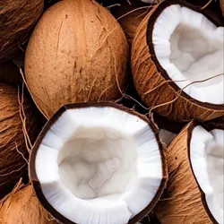 Coco.🥥