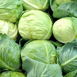 Col.🥬