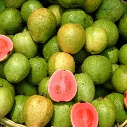Guayaba.🍈