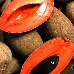 Mamey.🫶🏻