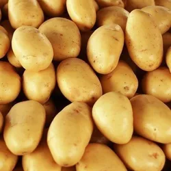Papa.🥔