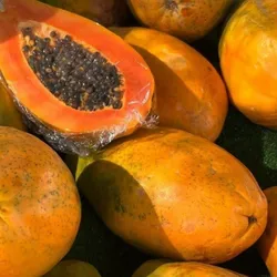 Papaya.🫶🏻