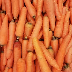 Zanahoria.🥕