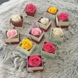 Regalo