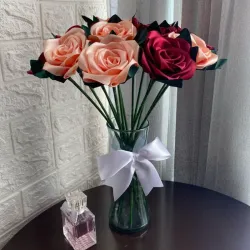 Rosa