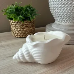 Caracola de yeso. Para plantas artificiales o para velas (no incluidas)