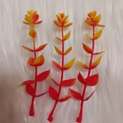 Eucalipto de otoño 