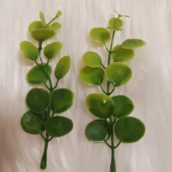 Eucalipto falso verde 