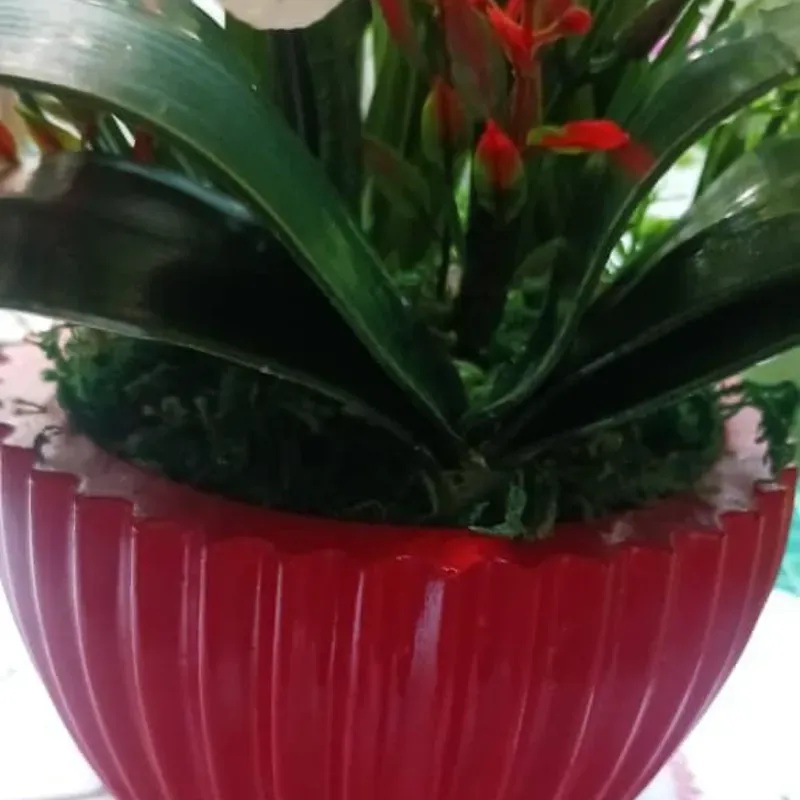 Orquídea realista en porcelana fría.