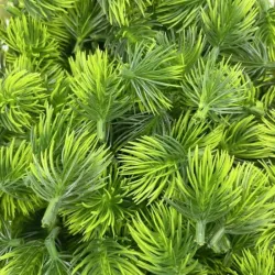 Ramas de pino artificial 