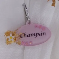 Chapilla para gatito