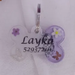 Chapilla para mascotas