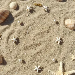 Collar invisible con estrellas de mar.