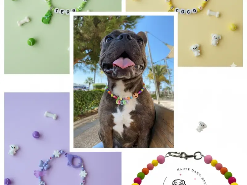 Collar para mascotas 