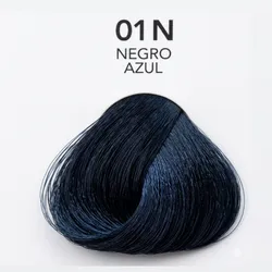 01N - Negro Azul