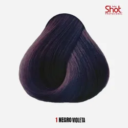 1V Negro Violeta