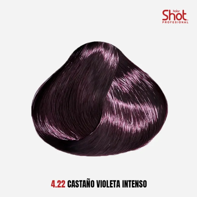4.22 Castaño Violeta Intenso 