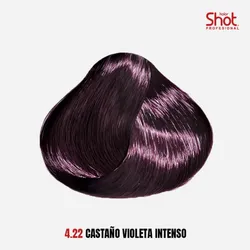 4.22 Castaño Violeta Intenso 